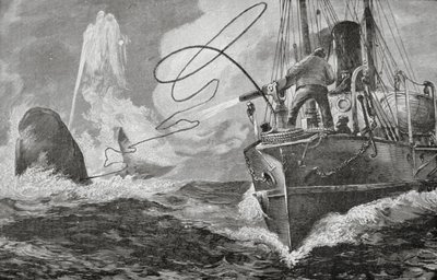 Parníky jako velrybáři od Unknown artist