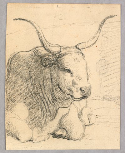 Studie: ležící kráva od Unknown artist