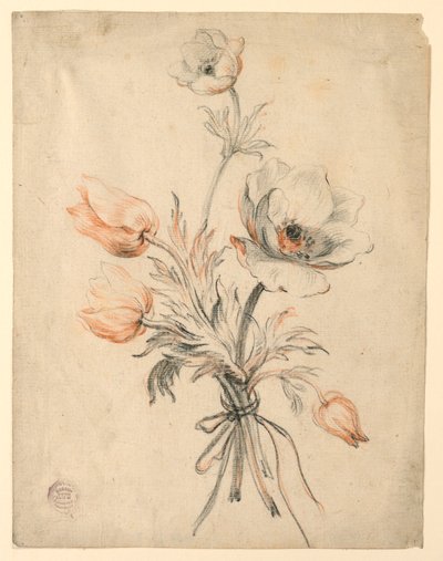 Studie kytice růží od Unknown artist