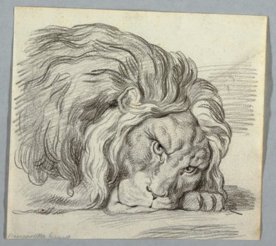 Studie lva od Unknown artist