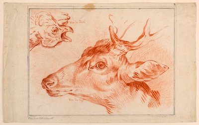 Studie o hlavách kuřete a jelena od Unknown artist