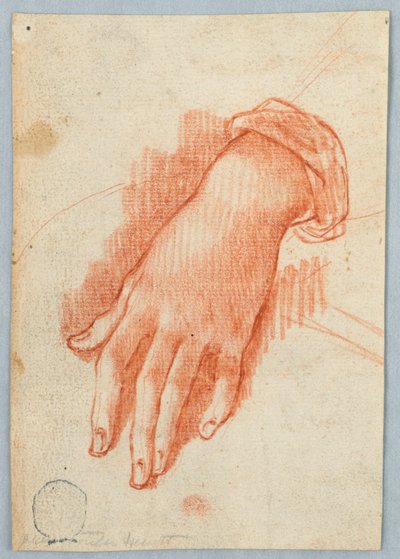 Studie levé ruky ženy od Unknown artist