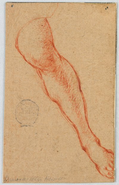 Studie levé nohy sedící ženy od Unknown artist
