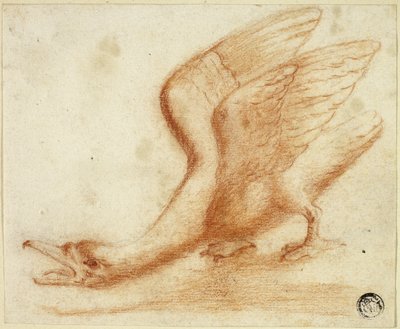 Labuť od Unknown artist