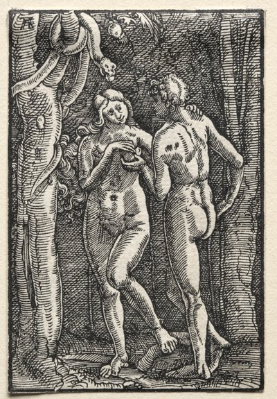 Pád a vykoupení člověka od Unknown artist