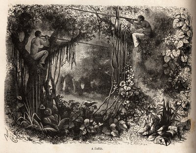Indiáni Yahua z Peru hledají zvěř, hřady ve větvích a zbraně sarbacanů s otrávenými flechettemi. Rytina pro ilustraci cesty z Tichého oceánu do L