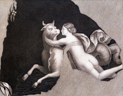 Únos Evropy - rytina od Unknown artist
