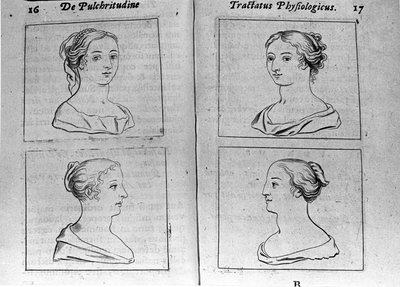 Různé ženské profily Page převzaté z "Tractatus physiologicus de beautye" pojednává o Ernesto Venio (Ernestus Vaenius) hájící krásu stvoření před anonymním protivníkem. 1612 od Unknown artist