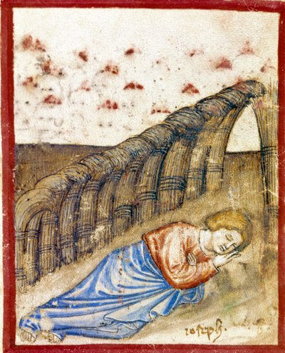 Vize Josefa, syna Jacoba Miniature převzato z Codexu 212 (nebo Paduánského kodexu nebo Bible Padovy) 1390-1400 Rovigo, Accademia dei Concordi od Unknown artist
