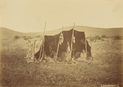 Markýza Patagones. od Unknown artist