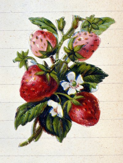 Neznámý obrázek od Unknown artist