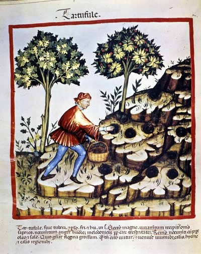 Neznámý obrázek od Unknown artist