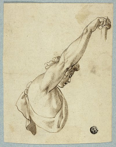 Horní část trupu s nataženými pažemi od Unknown artist