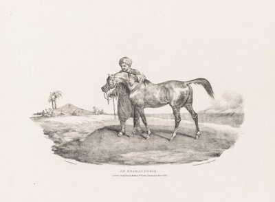 Různé předměty ze života a na kameni: Arabský kůň od Unknown artist