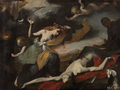 Venuše objevuje mrtvého Adonise od Unknown artist