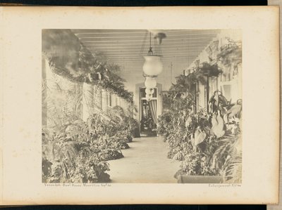 Veranda. Vládní dům. Maurituis. od Unknown artist