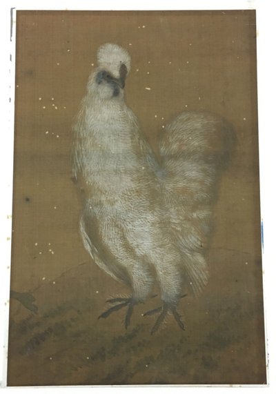 Bílý kohout od Unknown artist
