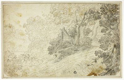 Zalesněná říční krajina s výhledem na hrad od Unknown artist
