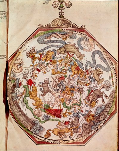Zodiac (rytina od Unknown artist