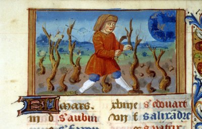 Zodiac Beran a velikost stromu - Miniatura středověku (ref. 137, 047r) - Vyžádejte si povolení od Městské knihovny v Toulouse (tel: 05 62 27 66 66) od Unknown artist