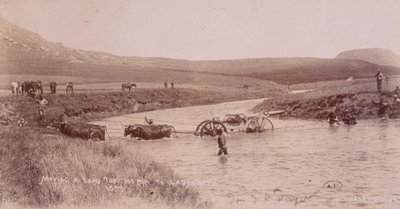 Canon překračující řeku během búrské války od Unknown photographer
