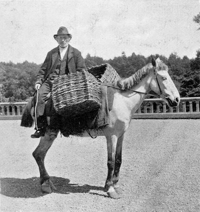 Ir na koni (19. století). od Unknown photographer