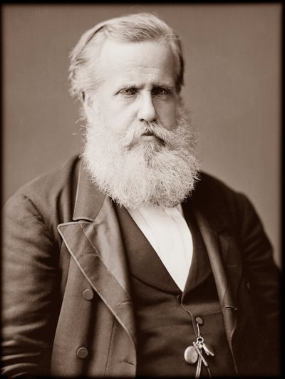 Portrét Dom Pedro II (Peter II) (Peter II) (Dom Pedro de Alcantara) (1825-1891), císař Brazílie od Unknown photographer