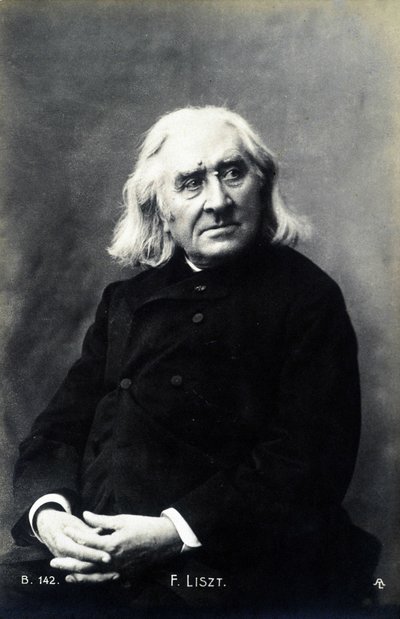 Portrét Franze Liszta. od Unknown photographer