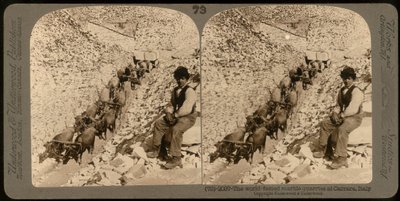 Portrét chlapce ve slavných mramorových lomech v Carraře; Stereoskopická fotografie (černobílá fotografie) od Unknown photographer