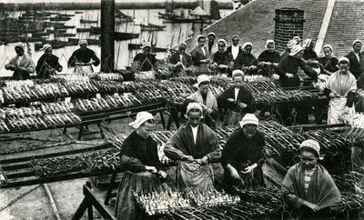 Průmysl na výrobu sardinek, Finistère, Brittany (čb fotografie) od Unknown photographer