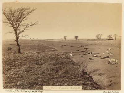 ?Scéna překvapení xcivského pluku?, 1881 od Unknown
