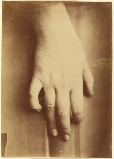 Studie ruky, 1865 (foto) od Unknown photographer