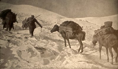 Francouzské a italské polohy mají více než 2 metry sněhu nad mořem. od Unknown photographer
