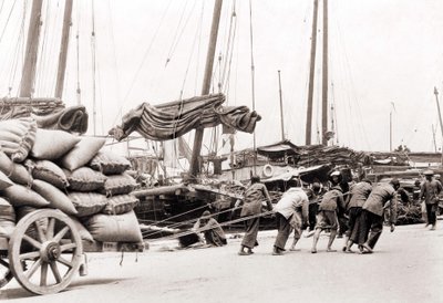 Přístav Hong Kong kolem roku 1880. od Unknown photographer
