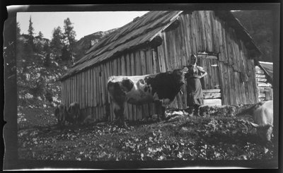 Vorderbachalm (horská pastvina) s horskou chatou u Goesslu u jezera Grundl od Unknown photographer