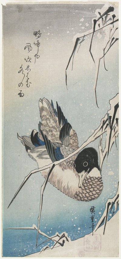 (Duck and Snowy Reeds), počátek 30. let 19. století od Utagawa Hiroshige