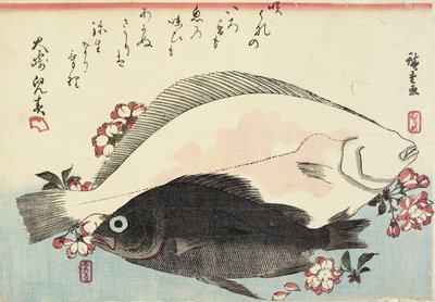 (Fluke and Black Bass, Cherry Blossoms) od Utagawa Hiroshige