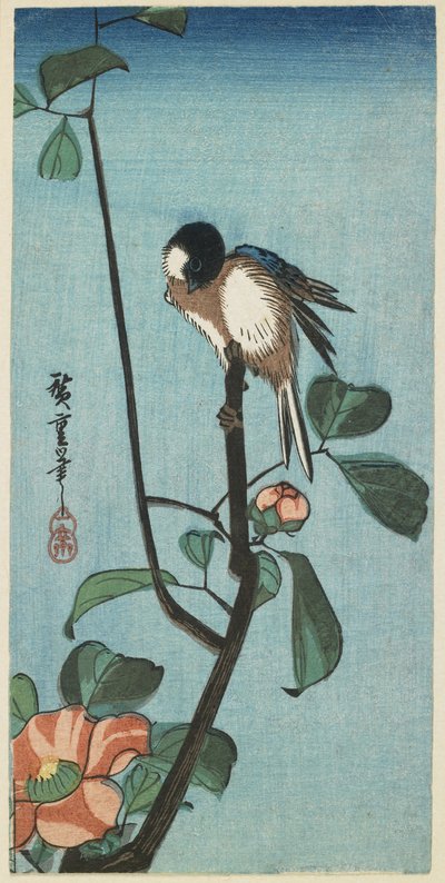 (Sýkora koňadra na kamélii), 1830-1858 od Utagawa Hiroshige