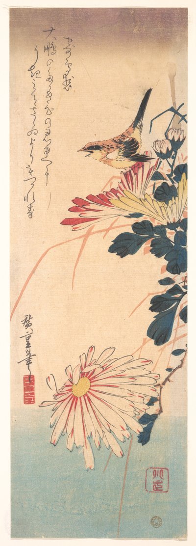 Ein Zaunkönig und Chrysanthemen od Utagawa Hiroshige