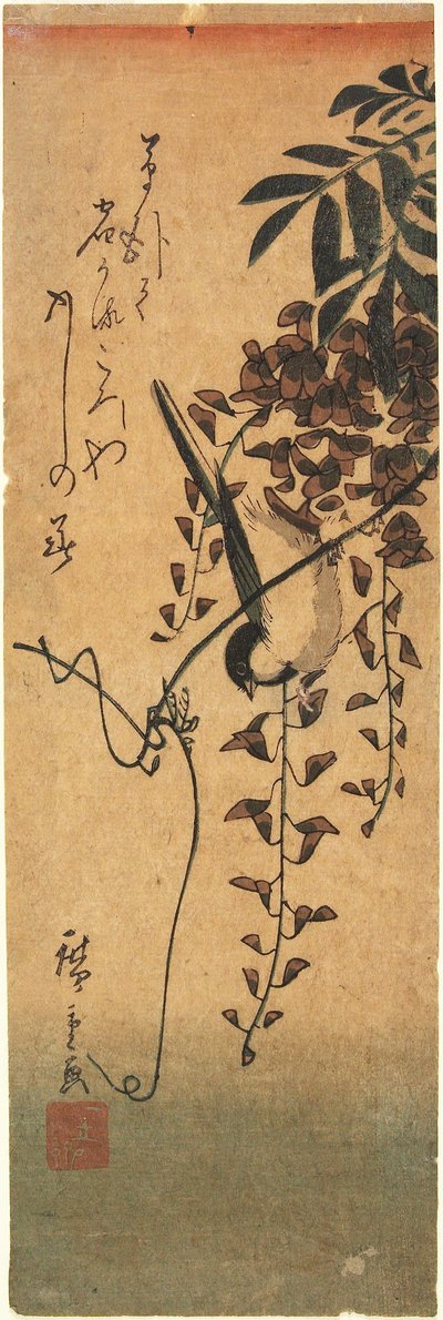 Vogel auf Glyzinienranke od Utagawa Hiroshige