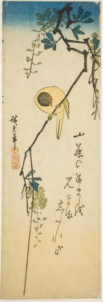 Pták na hedvábné vistárii od Utagawa Hiroshige
