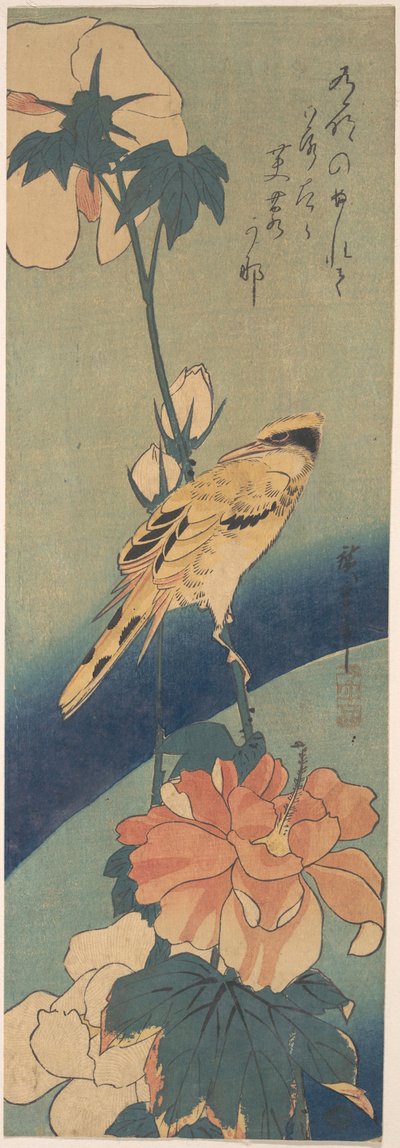 Schwarzrückenpirol auf einem Hibiskusstängel od Utagawa Hiroshige