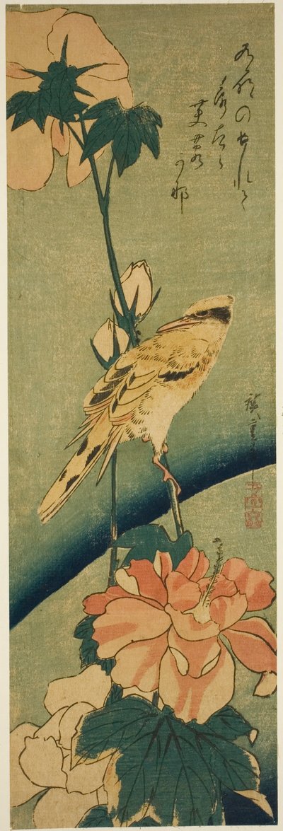 Žluva černohlavá na ibišku od Utagawa Hiroshige