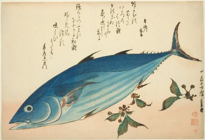 Bonito a lomikámen, z nepojmenované série ryb od Utagawa Hiroshige