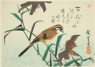 Strnad a lilie od Utagawa Hiroshige