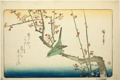 Pěnice na švestkové větvi od Utagawa Hiroshige