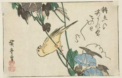 Kanárské a ranní slávy od Utagawa Hiroshige