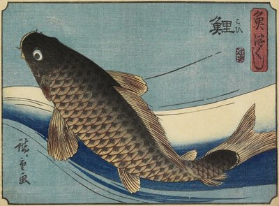 Kapr, 1830-1844 od Utagawa Hiroshige