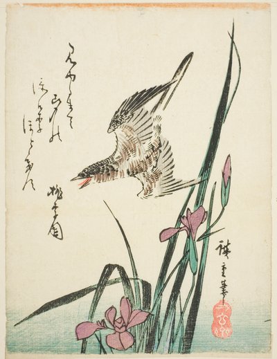 Kukačka letící nad irisem od Utagawa Hiroshige