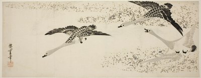 Sestupné husy od Utagawa Hiroshige
